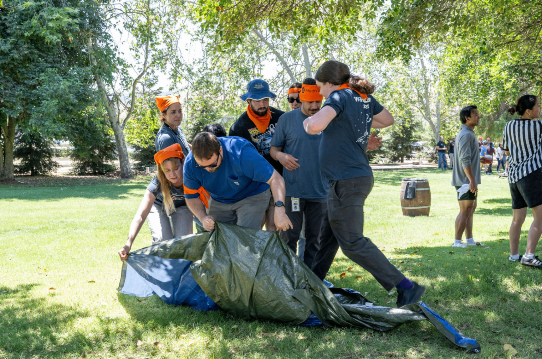Group tackling a team-building challenge outdoors